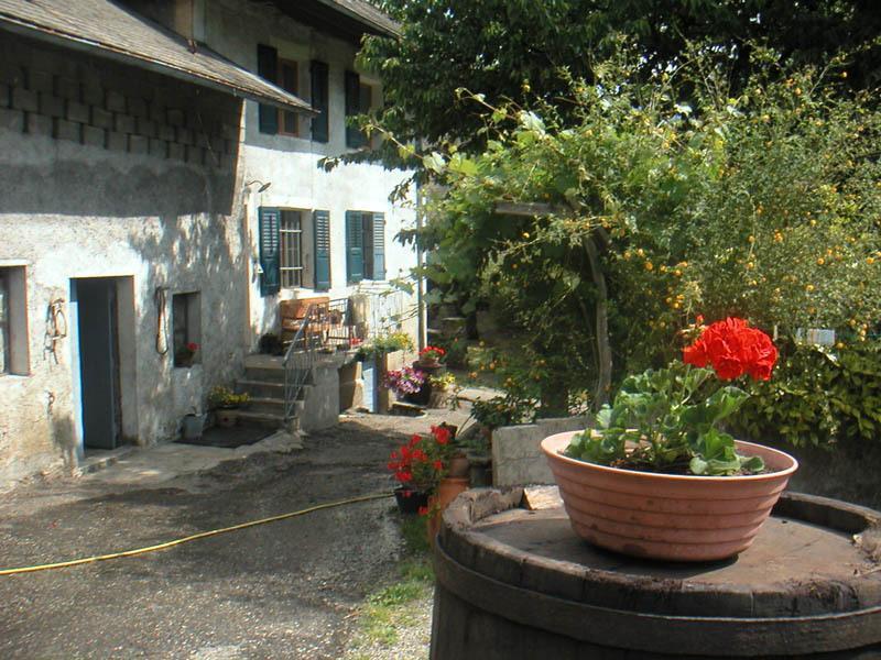 Domaine De La Safraniere - Chambre D'Hote Saint-Leger  Ngoại thất bức ảnh