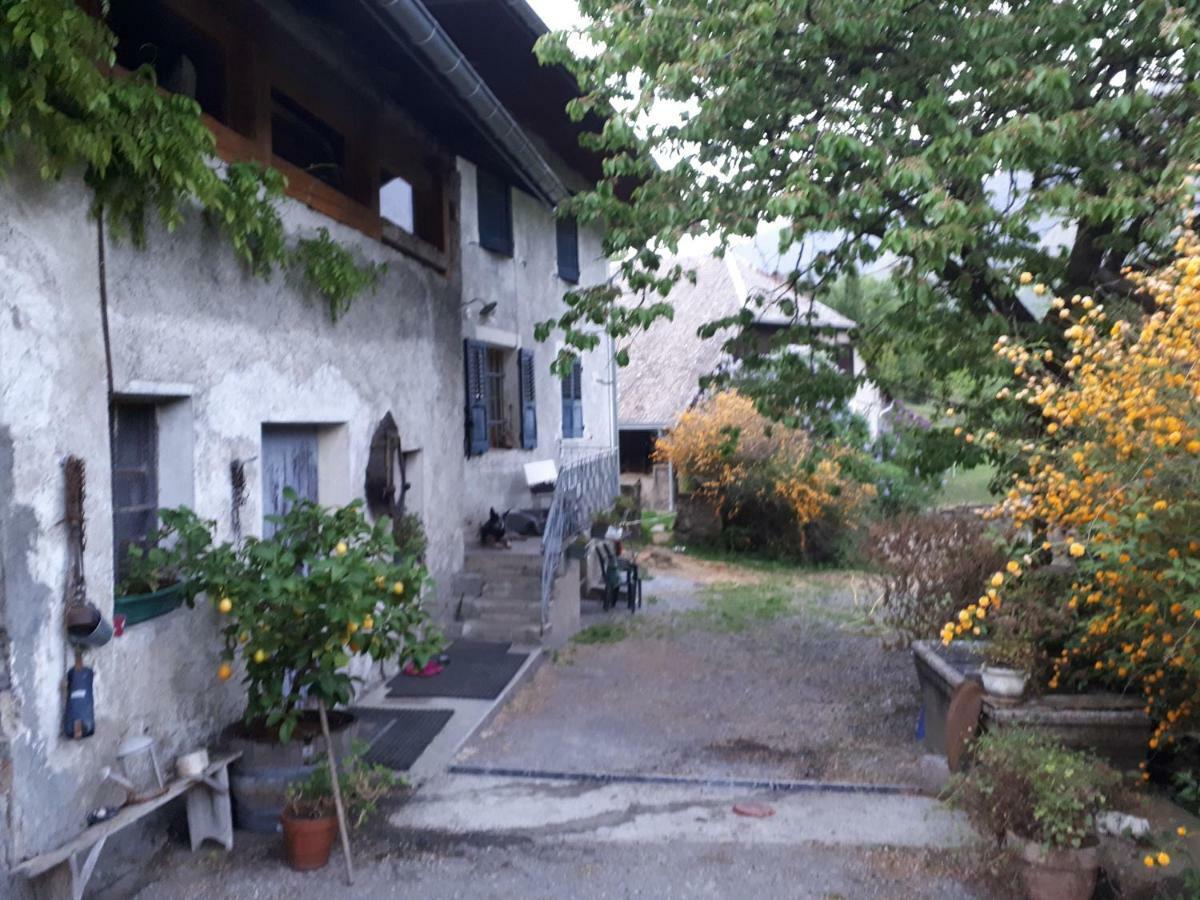 Domaine De La Safraniere - Chambre D'Hote Saint-Leger  Ngoại thất bức ảnh